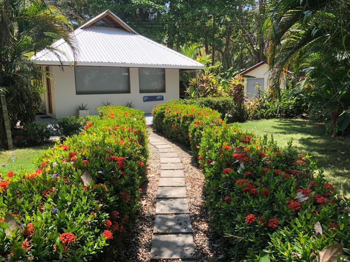 Casa Cecilia Beach Front Playa Santa Teresa  Экстерьер фото