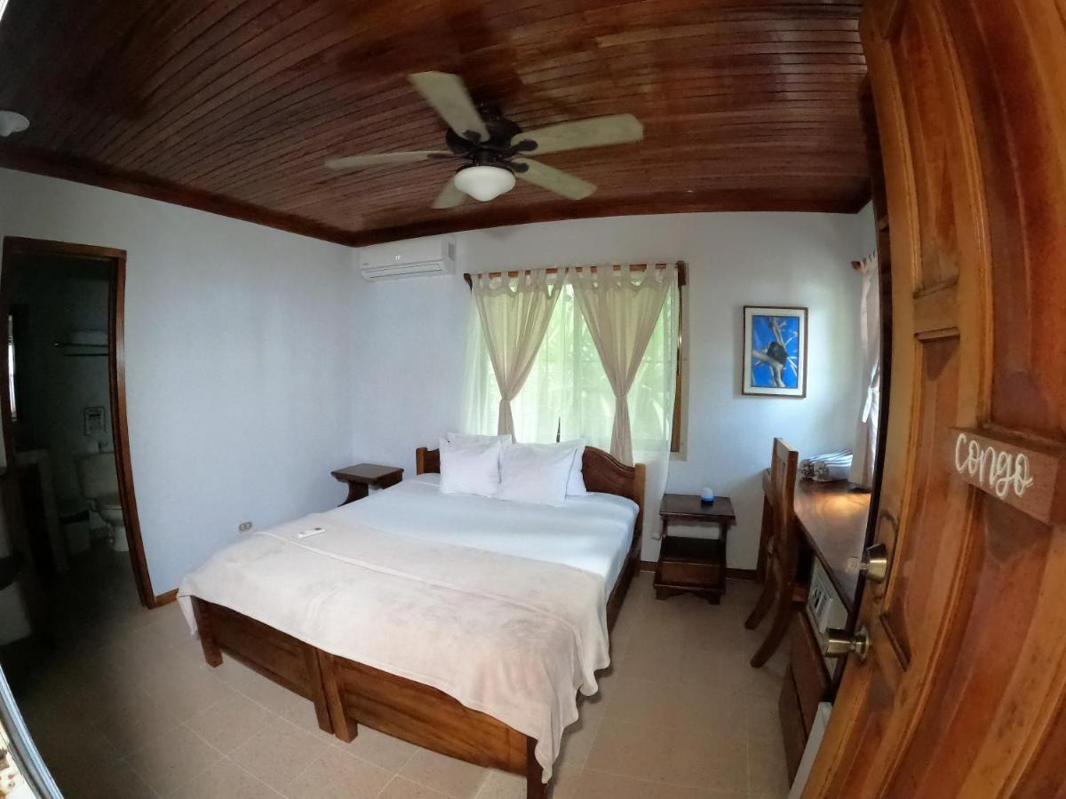 Casa Cecilia Beach Front Playa Santa Teresa  Экстерьер фото